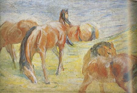 Franz Marc Graing Horses i (mk34) Sweden oil painting art